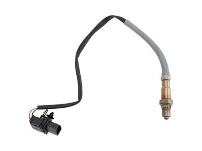 O2 Oxygen Sensor; Upstream Driver Side (09-10 F-150)