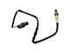 O2 Oxygen Sensor; Upstream (15-17 3.5L V6, 5.0L F-150)