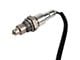 O2 Oxygen Sensor; Upstream (15-17 3.5L V6, 5.0L F-150)