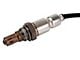 O2 Oxygen Sensor; Upstream (15-17 3.5L V6, 5.0L F-150)