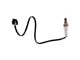 O2 Oxygen Sensor; Upstream (18-25 3.3L, 5.0L F-150; 23-25 F-150 Raptor R)