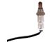 O2 Oxygen Sensor; Upstream (18-25 3.3L, 5.0L F-150; 23-25 F-150 Raptor R)