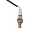 O2 Oxygen Sensor; Upstream (00-02 5.4L F-150)