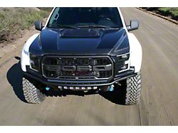 OEM Style Hood; Fiberglass (17-20 F-150 Raptor)