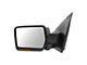 Powered Heated Memory Power Folding Mirror with Puddle Light and Turn Signal; Chrome; Driver Side (09-10 F-150)