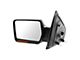 Powered Heated Memory Power Folding Mirror with Puddle Light and Turn Signal; Chrome; Driver Side (09-10 F-150)