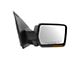 Powered Heated Memory Power Folding Mirror with Puddle Light and Turn Signal; Chrome; Passenger Side (09-10 F-150)