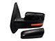 Powered Heated Memory Mirrors with Turn Signal; Paint to Match Black (09-10 F-150)