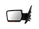 Powered Heated Mirror with Turn Signal; Textured Black; Driver Side (09-10 F-150)