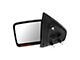 Powered Heated Mirror with Turn Signal; Textured Black; Driver Side (09-10 F-150)