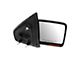 Powered Heated Mirror with Turn Signal; Textured Black; Passenger Side (09-10 F-150)