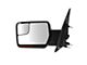 Powered Heated Power Folding Mirror with Puddle Light and Turn Signal; Chrome; Driver Side (04-08 F-150)
