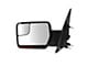 Powered Heated Power Folding Mirrors with Puddle Lights and Turn Signal; Chrome (04-08 F-150)