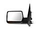 Powered Heated Side Mirror; Driver Side (04-06 F-150)
