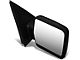 Powered Heated Towing Mirror; Passenger Side (04-14 F-150)