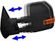 Powered Heated Towing Mirrors with Puddle Lights and Amber LED Turn Signals; Black (04-14 F-150)