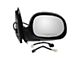 Powered Mirror; Chrome; Passenger Side (98-00 F-150; 01-02 F-150 Regular Cab, SuperCab)