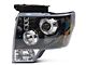 Dual Halo Projector Headlights; Jet Black Housing; Clear Lens (09-14 F-150 w/ Factory Halogen Headlights)