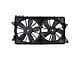 Radiator Cooling Fan Assembly (10-14 F-150 w/ Towing Package)