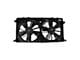 Radiator Dual Cooling Fan Assembly (15-20 2.7L/3.5L EcoBoost, 5.0L F-150)