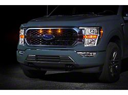 Raptor Style Grille Light Kit; Amber (21-23 F-150 King Ranch, Platinum)