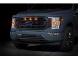 Raptor Style Grille Light Kit; White (21-23 F-150 XL, XLT)