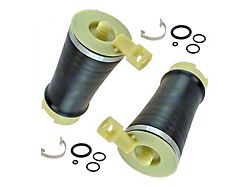 Rear Air Springs (97-03 F-150)