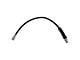 Rear Brake Hose; Center (17-19 F-150 Raptor)