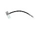 Rear Brake Hose Set (15-17 F-150 w/ Manual Parking Brake)