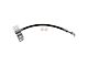 Rear Brake Hose Set (15-17 F-150 w/ Manual Parking Brake)