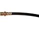 Rear Brake Hydraulic Hose; Center (09-14 F-150, Excluding Raptor)