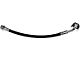 Rear Brake Hydraulic Hose; Driver Side (99-03 F-150 Lightning)