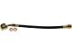 Rear Brake Hydraulic Hose; Passenger Side (99-03 F-150 Lightning)