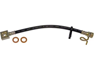 Rear Brake Hydraulic Hose; Passenger Side (09-10 F-150, Excluding Raptor)