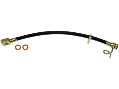 Rear Brake Hydraulic Hose; Passenger Side (2010 F-150 Raptor)