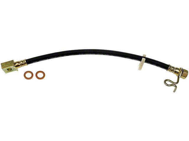 Rear Brake Hydraulic Hose; Passenger Side (2010 F-150 Raptor)