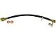 Rear Brake Hydraulic Hose; Passenger Side (2010 F-150 Raptor)