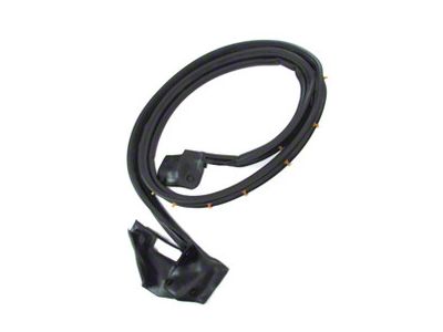 Rear Door Seal; Passenger Side (97-03 F-150 SuperCab)