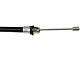 Rear Parking Brake Cable; Passenger Side (99-03 F-150 Lightning)