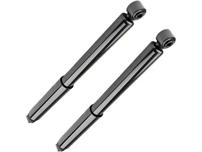 Rear Shocks (04-08 2WD F-150)