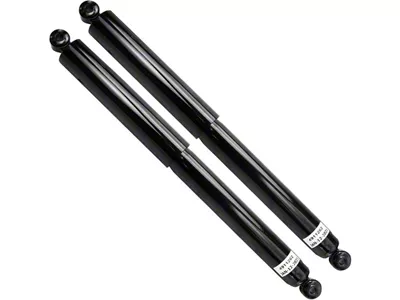 Rear Shocks (04-08 4WD F-150)