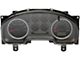 Remanufactured Instrument Cluster (2006 F-150 FX4)