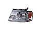 Replacement Headlight; Driver Side (04-08 F-150)