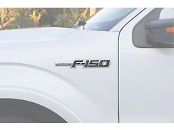 Side Emblem Insert Letters; Forged Carbon Fiber (09-14 F-150, Excluding Raptor)