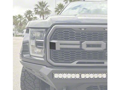 Side Grille Overlays; Domed Carbon Fiber (17-20 F-150 Raptor)