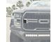 Side Grille Overlays; Domed Carbon Fiber (17-20 F-150 Raptor)