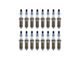 Spark Plug Set (10-14 6.2L F-150)