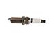 Spark Plug Set (11-14 3.7L F-150)