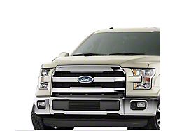 Stainless Steel Billet Lower Grille Insert; Black (15-17 F-150, Excluding Raptor)