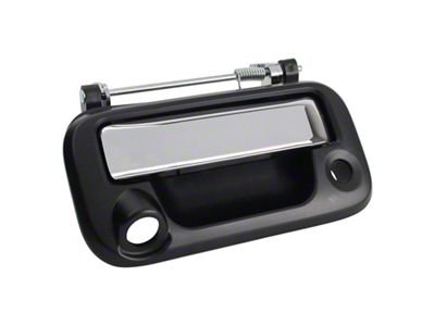 Tailgate Handle with Backup Camera Opening (08-14 F-150)